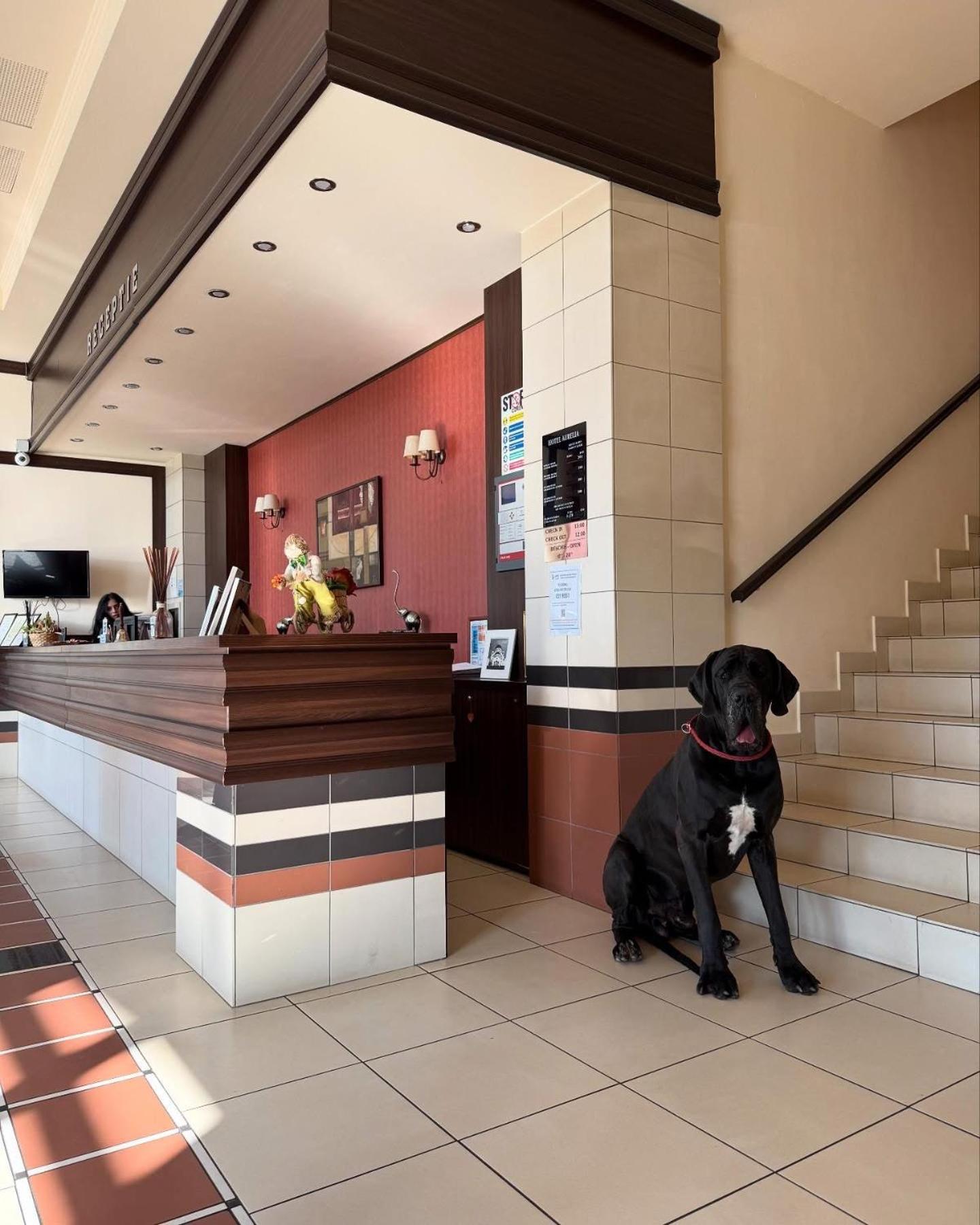 Hotel Aurelia Chisoda Екстериор снимка